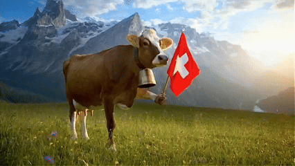 Schweizer Kuh — Swissy Maskottchen